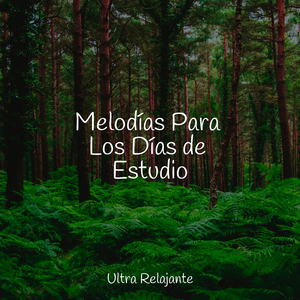 Llamada De La Naturaleza