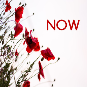 Reach Your Innerself