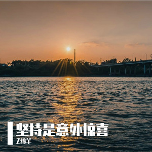 坚持是意外惊喜