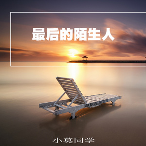 最后的陌生人