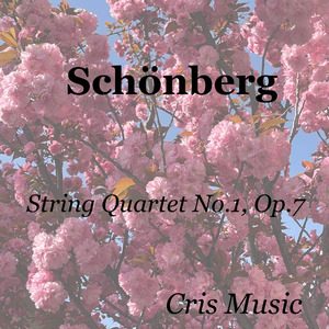 Schönberg: String Quartet No.1, Op.7: III. Mäßig (Langsame Viertel)