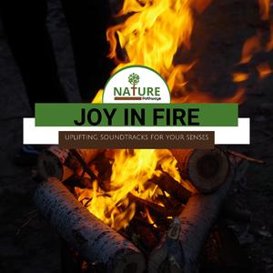 Last Meeting at the Lake