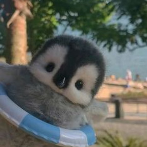 наверно ты меня не помнишь