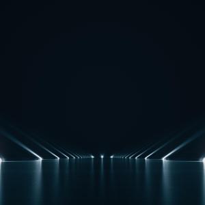 Manoeuvre 01