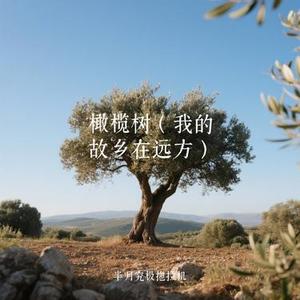 橄榄树 (我的故乡在远方) (Cover 大头针)
