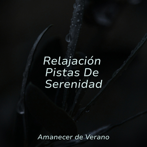 Pétalos Aurulentos del Crepúsculo