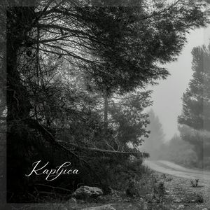 Kapljica