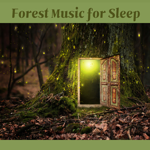 평온한 휴식 (숲소리)