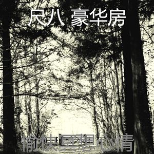 抚慰的瑜珈回忆
