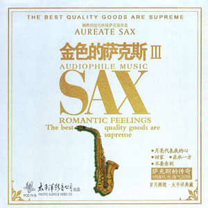 莫斯科郊外的晚上