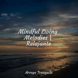 Serenidad Junto Al Río