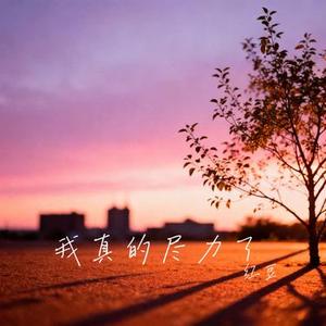 我真的尽力了 (Cover 王佳音)