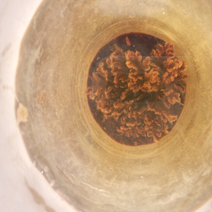 תפילה למוזה