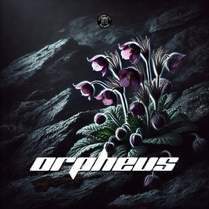 Orpheus