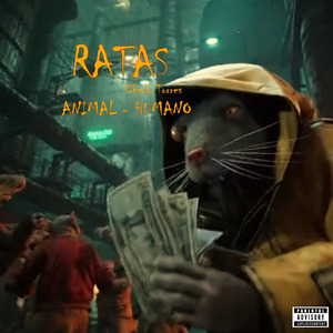 Ratas