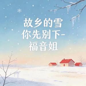 故乡的雪你先别下 (DJ涵哈版)
