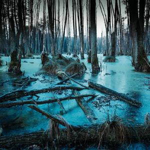 Falling in the Stars