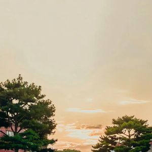 未来绮梦