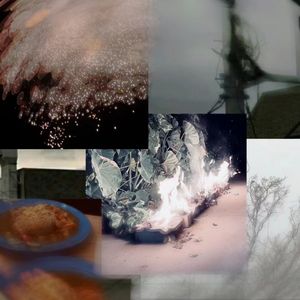 风吹叶落，落叶归根