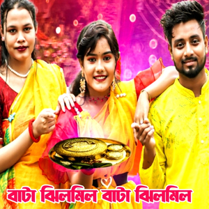বাটা ঝিলমিল বাটা ঝিলমিল