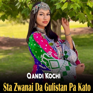 Da Zalfo Shrak Ye Pa Makh