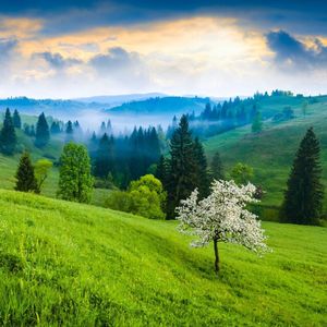 我爱你（沉舟 remix）