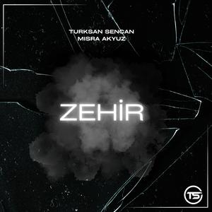 Zehir (feat. mısra akyüz)