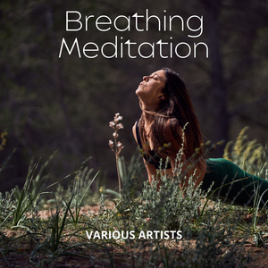 In the Middle of a Dream