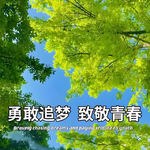 梦圆