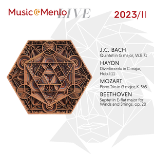 Divertimento in C major, Hob.II:11: IV. Theme and 7 variations. Moderato