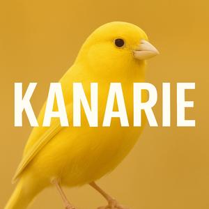 Kanarie