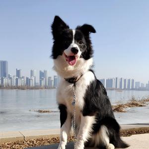 紫禁城里的似水流年