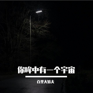 你眸中有一个宇宙