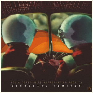 Cloudface (Bombay Dub Orchestra's Luke Howard Ambient Dub Mix)