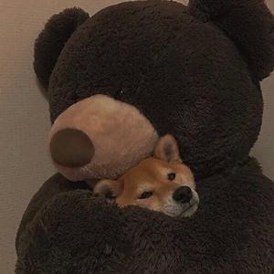 晚安-Cover 颜人中（翻自 颜人中）