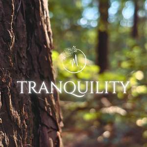 Tranquility