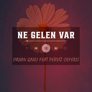 Ne Gelen Var