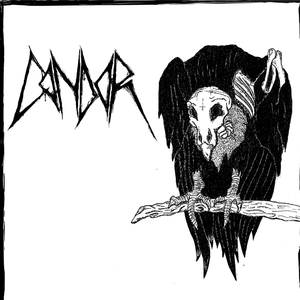 Chant of Madness