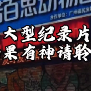 大型纪录片《如果有神请聆听》