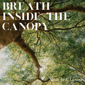 Light Resting on Leaves