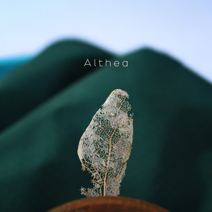 Mirrors of the Field