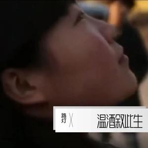 山外小楼夜听雨