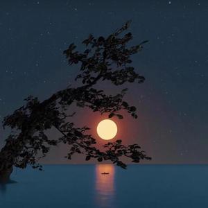 客子光阴（完整版）