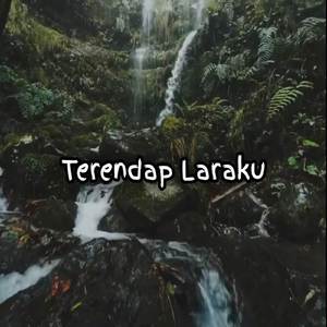Terendap Laraku Cover