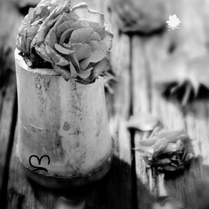 Amo-Te (feat. Kitoko Sound, Din BEATS & Arándano)