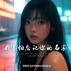 我害怕忘記你的名字 (Afraid of Losing Your Name)