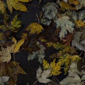 心动的摩斯密码