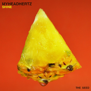 Shine (Karl Krazen Remix)