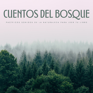 Leyendo En Mí Tiempo Libre