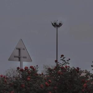 平凡的日子里拼命挣扎